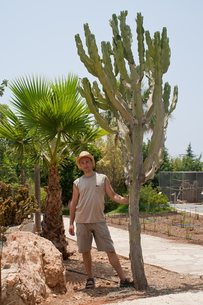 20120724_Cyprus_087.jpg